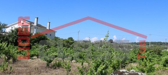 6 bedrooms House in Mirandela, Portugal No. 221450 2