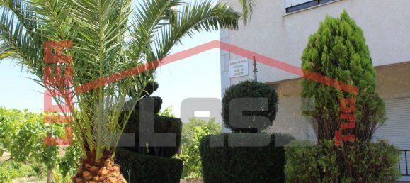 6 bedrooms House in Mirandela, Portugal No. 221450 37