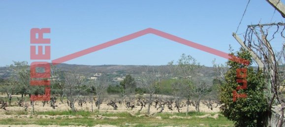 6 bedrooms House in Mirandela, Portugal No. 221450 49