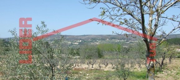 6 bedrooms House in Mirandela, Portugal No. 221450 47