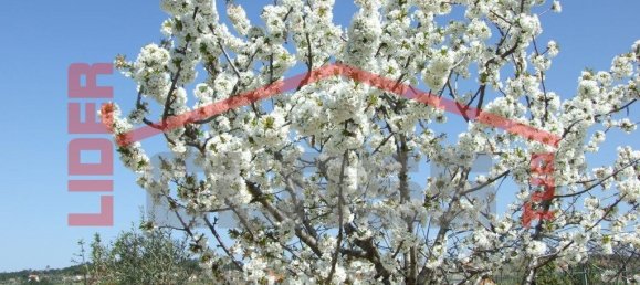 6 bedrooms House in Mirandela, Portugal No. 221450 46