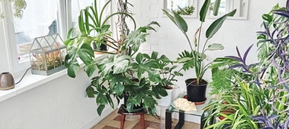 6غرفة منزل في Haguenau, France رقم 221687 4