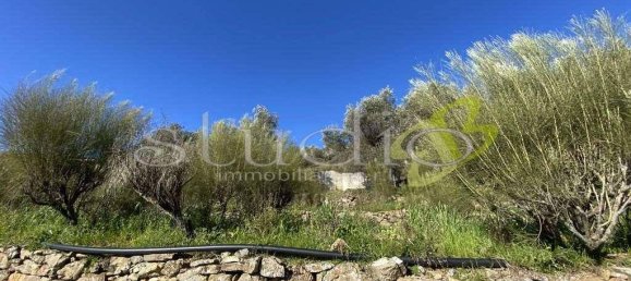 140m² Land in Seborga, Italy No. 146536 3