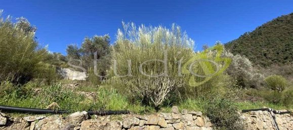 140m² Land in Seborga, Italy No. 146536 4