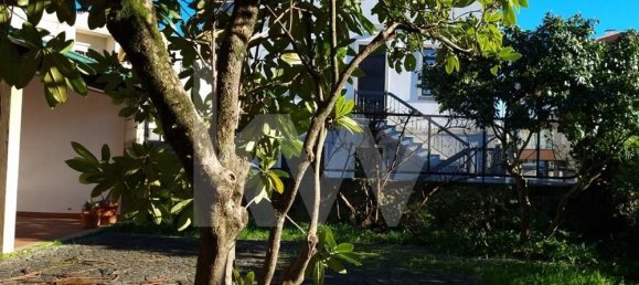 9 bedrooms House in Oliveira de Frades, Portugal No. 67239 8