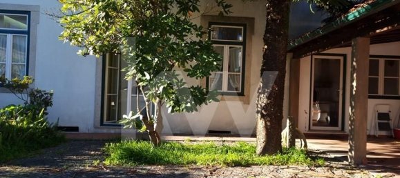 9 bedrooms House in Oliveira de Frades, Portugal No. 67239 9