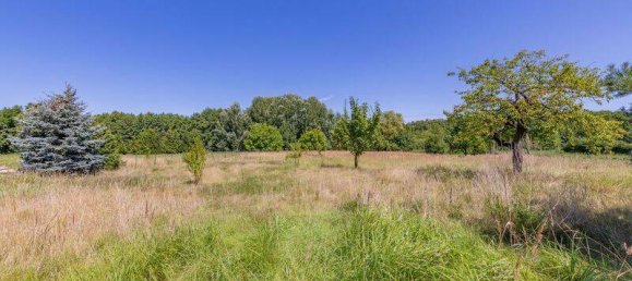 Ферма с 3 спальнями в Потсдам-Миттельмарк, Германия № 18008 23