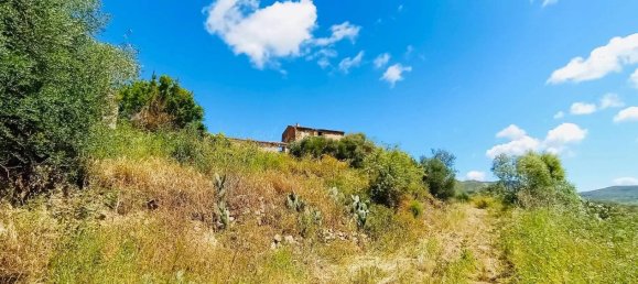 5غرفة قطعة أرض في Berchidda, Italy رقم 41417 6