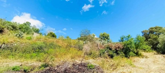 5غرفة قطعة أرض في Berchidda, Italy رقم 41417 8