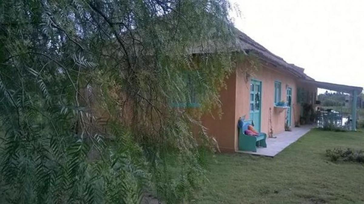 3 chambres Maison à Mendoza, Argentina No. 19978