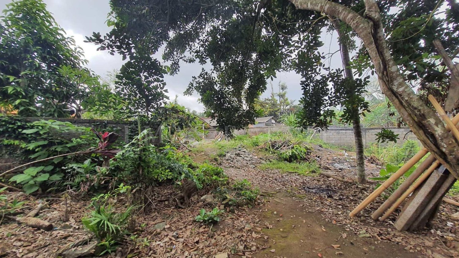  Land in Ubud, Indonesia No. 39