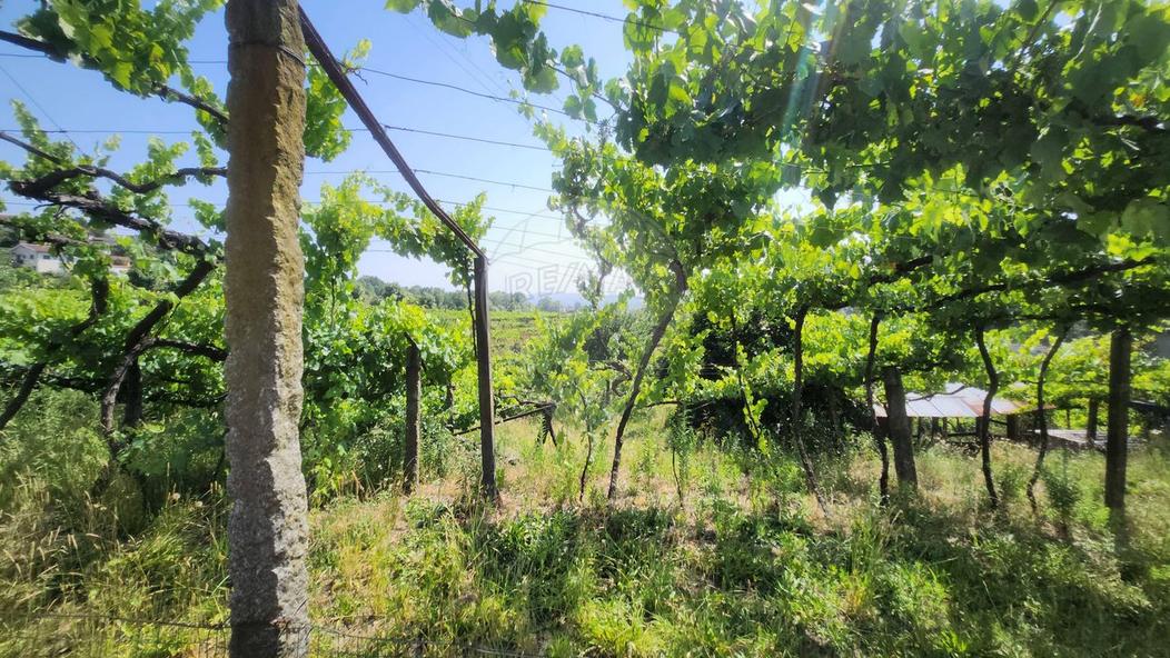 5 bedrooms Land in Amarante, Portugal No. 203956