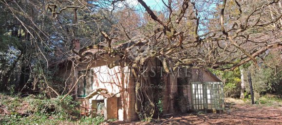 13 rooms House in Chiusi, Italy No. 237098 2