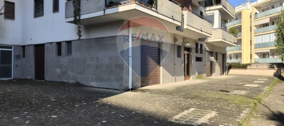 91m² Commercial property in Monopoli, Italy No. 155178 4
