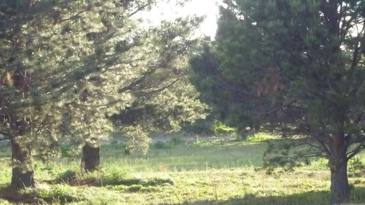 Terreno en San Carlos de Bariloche, Argentina No. 34859