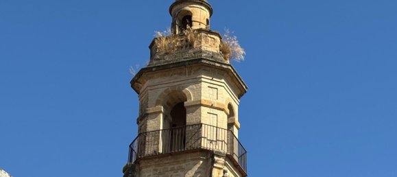 1 bedroom House in Cordoba, Spain No. 145112 5