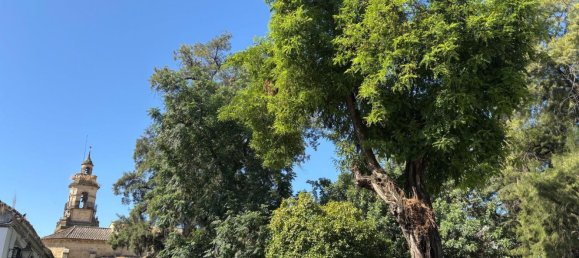 1 bedroom House in Cordoba, Spain No. 145112 4