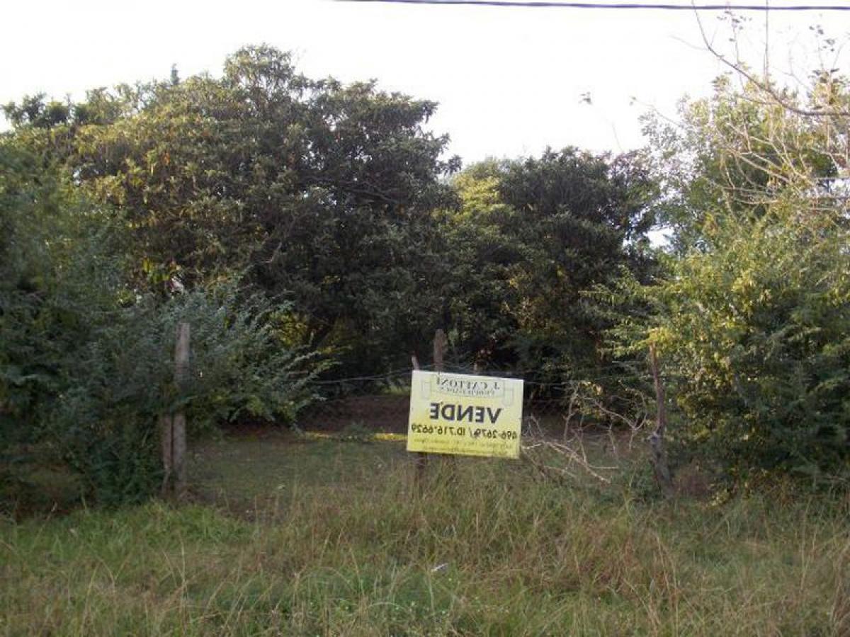  Land in Campo Creado, Argentina No. 44747