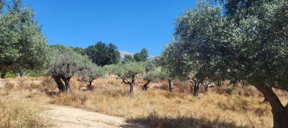 19000m² Land in Avila, Spain No. 70880 8