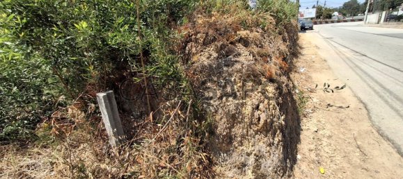 Земельный участок 2800м² в Мильейрош де Пояреш, Португалия № 190444 6