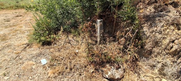 Земельный участок 2800м² в Мильейрош де Пояреш, Португалия № 190444 13