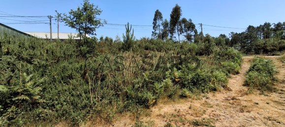 Земельный участок 2800м² в Мильейрош де Пояреш, Португалия № 190444 11