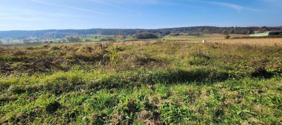  Land in Bad Waltersdorf, Austria No. 98211 6