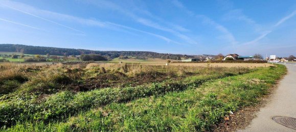  Land in Bad Waltersdorf, Austria No. 98211 4