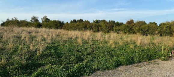 Terreno en Seingbouse, France No. 244789 5