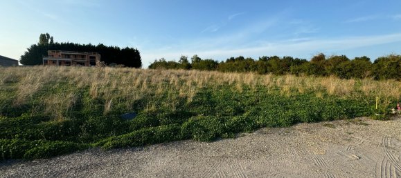 Terreno en Seingbouse, France No. 244789 6