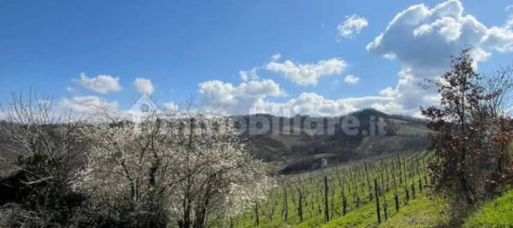 4 غرف نوم منزل في Codevilla, Italy رقم 63350 2