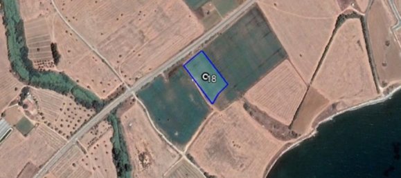 13894 m² hotel en venta en Mazotos, Larnaka, Cyprus № 6046 5