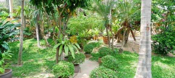 5 chambres Café / restaurant à Pattaya, Thailand No. 1868 13