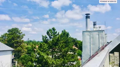 4 bedrooms Apartment in Liesing, Austria No. 133573