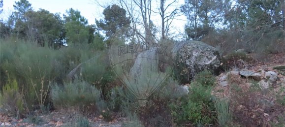 9 Schlafzimmer Haus in Fundao, Portugal, Nr. 63150 38