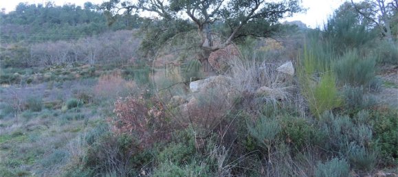 9 Schlafzimmer Haus in Fundao, Portugal, Nr. 63150 40