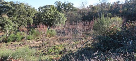 9 Schlafzimmer Haus in Fundao, Portugal, Nr. 63150 11
