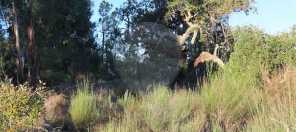 9 Schlafzimmer Haus in Fundao, Portugal, Nr. 63150 46
