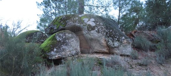 9 Schlafzimmer Haus in Fundao, Portugal, Nr. 63150 35