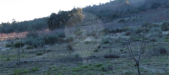 9 Schlafzimmer Haus in Fundao, Portugal, Nr. 63150 45