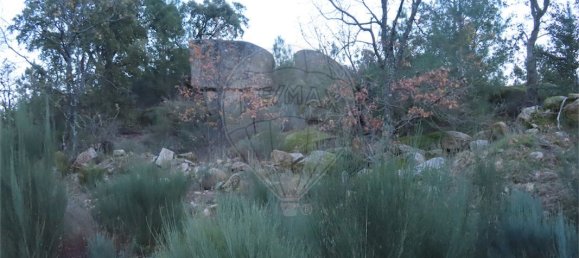 9 Schlafzimmer Haus in Fundao, Portugal, Nr. 63150 36