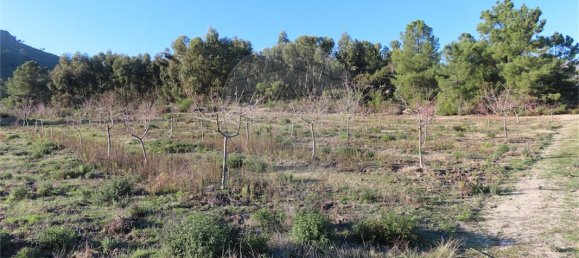 9 Schlafzimmer Haus in Fundao, Portugal, Nr. 63150 5