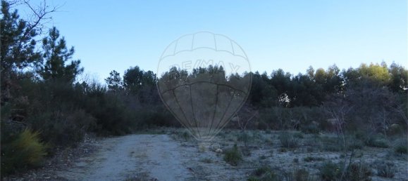 9 Schlafzimmer Haus in Fundao, Portugal, Nr. 63150 41