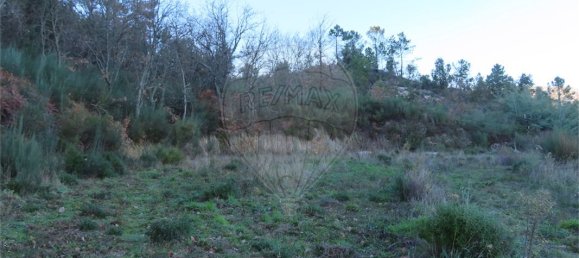 9 Schlafzimmer Haus in Fundao, Portugal, Nr. 63150 27