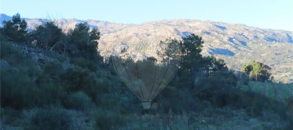 9 Schlafzimmer Haus in Fundao, Portugal, Nr. 63150 34