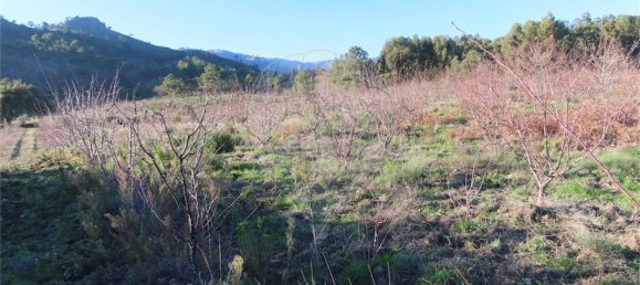 9 Schlafzimmer Haus in Fundao, Portugal, Nr. 63150 8