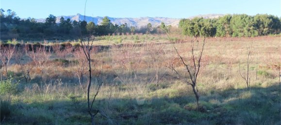 9 Schlafzimmer Haus in Fundao, Portugal, Nr. 63150 16
