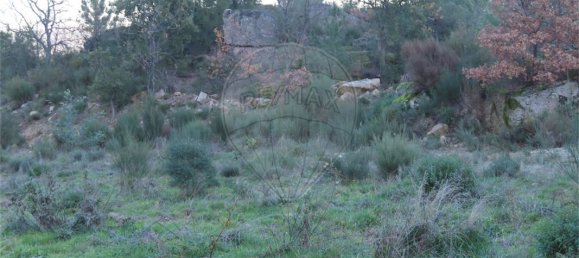 9 Schlafzimmer Haus in Fundao, Portugal, Nr. 63150 33