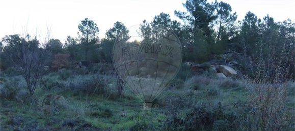 9 Schlafzimmer Haus in Fundao, Portugal, Nr. 63150 32