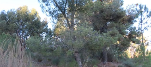 9 Schlafzimmer Haus in Fundao, Portugal, Nr. 63150 44